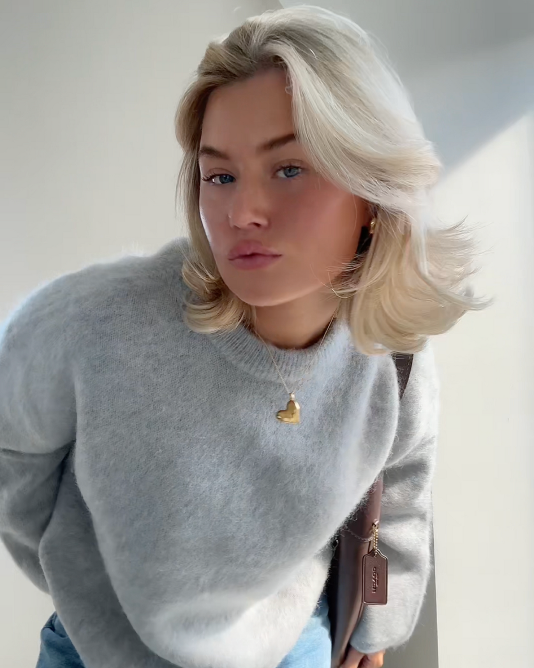 Anastasie - Pull et mélange mohair à col roulé autour